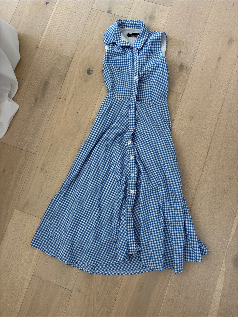 Blue Gingham Sleeveless Button-Front midi vintage Women's Dress